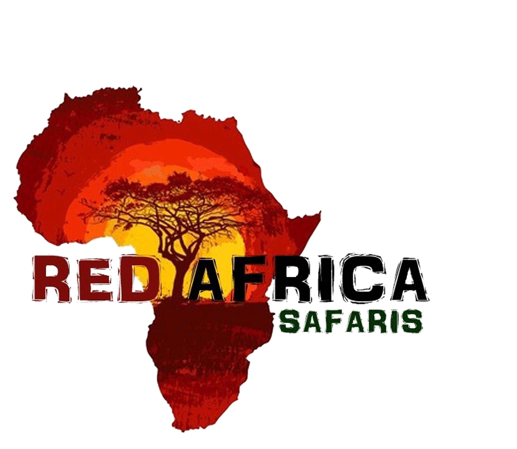 Red Africa Safaris - About Us